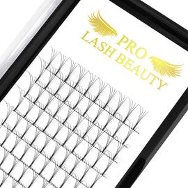 Ready-to-Use Eyelash Fans, 3D, 4D, 5D, 6D, Pre-Fanned Volume Eyelash Extensions, 0.07 0.10 Eyelash Extensions, 4D-D-0.10, 8–15 Mix