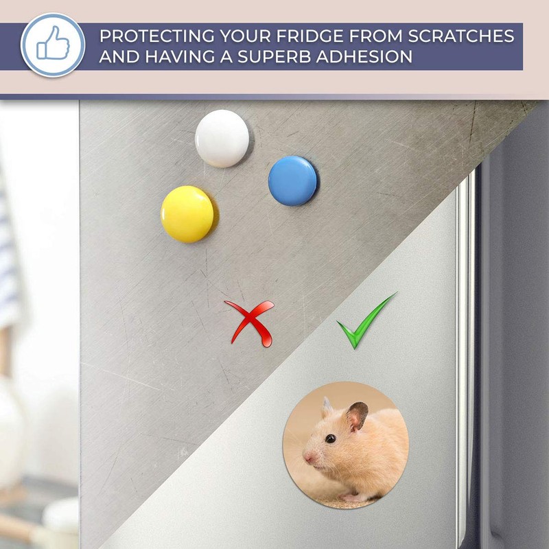 Destination Vinyl ltd Magnet for Refrigerator, Fridge - Cute Rodent