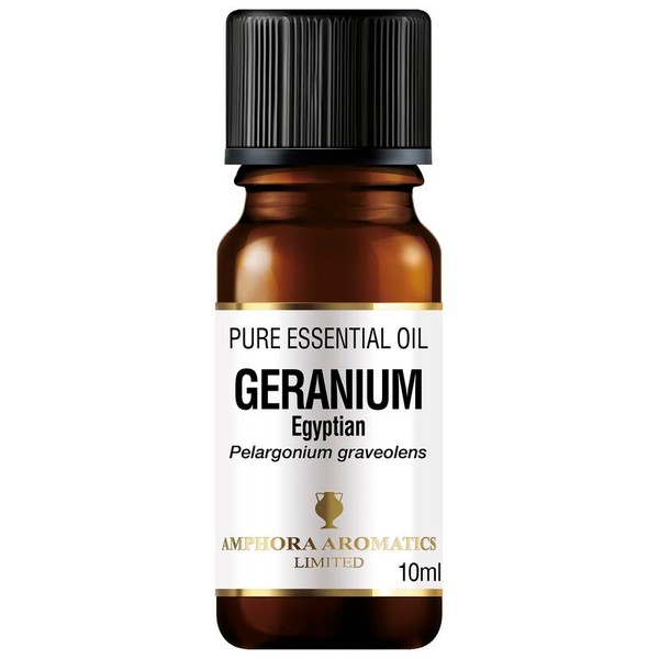 Geranium Essential Oil 10ml - Amphora Aromatics