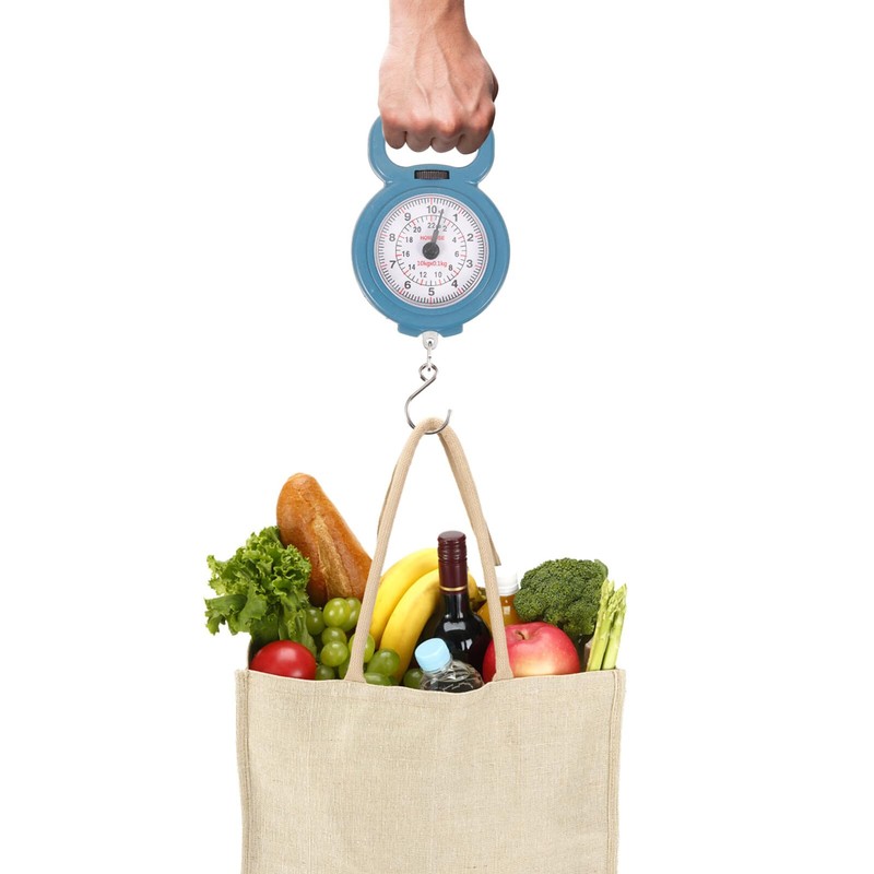 Hand Scale Mechanical Hanging Scale Portable Hand Held Dial Weight