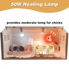 Solid Wood Chicken Brooder Box with Lighting Kit & Thermometer