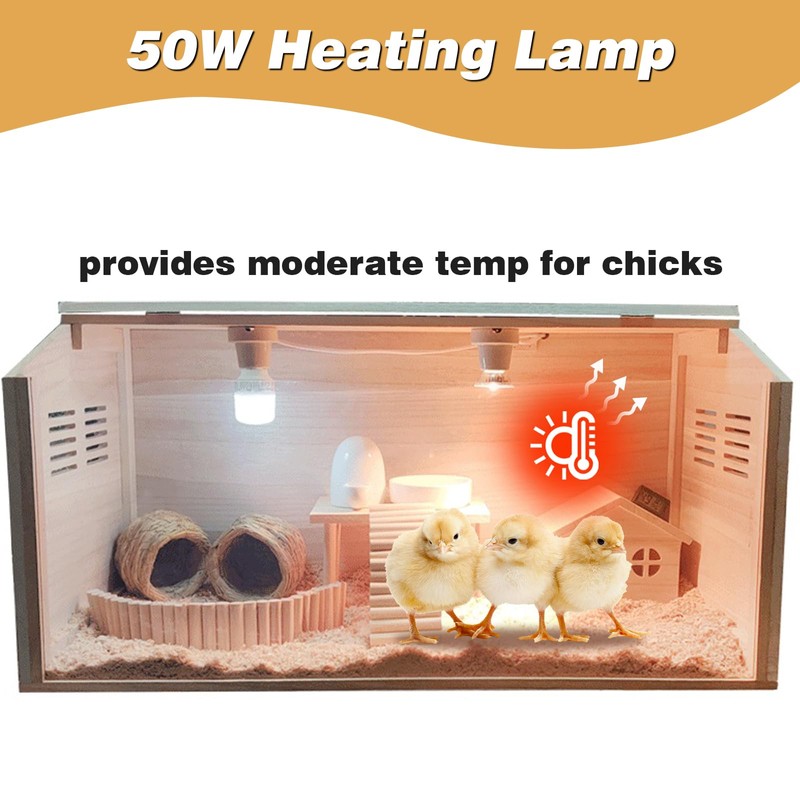 Solid Wood Chicken Brooder Box with Lighting Kit & Thermometer