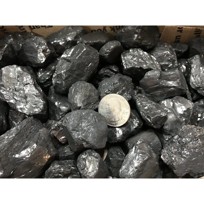 Coal Anthracite Nut Coal 2 Pounds