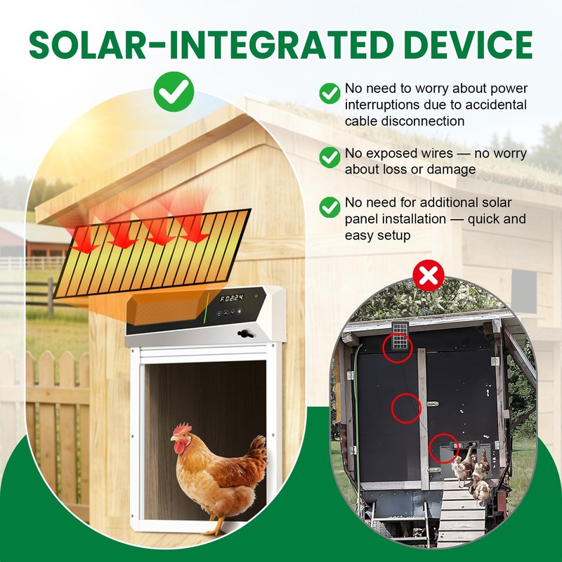 Solar Automatic Chicken Coop Door