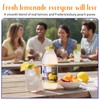 Texas mADE Fredericksburg Peach Lemonade, Lemonade Made with Pure Cane