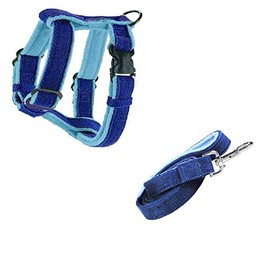 Cozy Natural Harness with Soft Lining (L Harness + Leash Combo, True Blue)