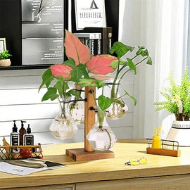 Plant Propagation Stations Terrarium with Wooden Stand-Desktop Glass Bulb Plant Vase for Propagating Hydroponic Plants Home Garden Office Decor (Style 8)