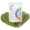 Organic Natural Loquat Leaves Tea Bag- 50 Tea Bags (Biodegradable