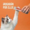 Kit 50 Premios Para Gato Cuidado Renal Probióticos Salmon