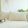 JOJUSIS Pack of 2 Faux Fur Plush Decorative Throw Pillow