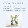 [Litomy Balancing Rock Cream Hydrate] Cream, Sensitive Skin, Rough Prevention