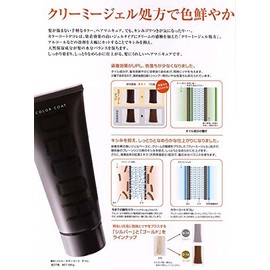 イリヤ カラーコート デコレ 160ｇ D-L2 ライトマロンブラウン