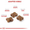 Royal Canin Croquetas para Gatos, Kitten, 3.17 kg (El empaque