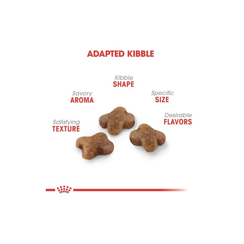 Royal Canin Croquetas para Gatos, Kitten, 3.17 kg (El empaque