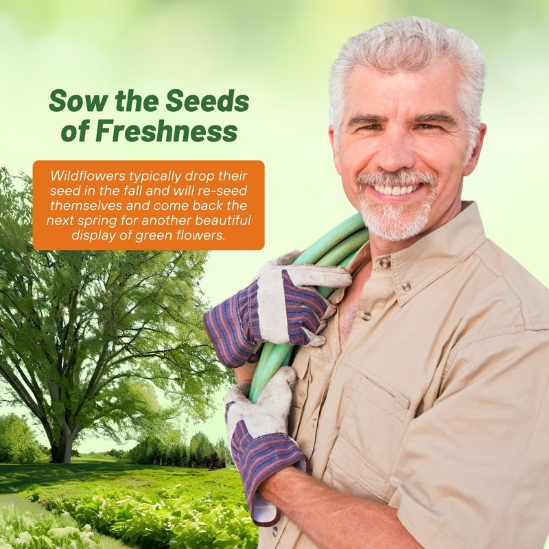 Outsidepride Green Wildflower Seed Mix - 5000 Pcs Annual, Vibrant,