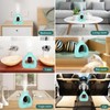 HAPPTWS Waterless Essentil Oil Diffuser Set - Cordless Diffuser 3