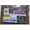 Mexcian Herbs & Roots 4oz Wintergreen leaf/leaves c/s - axocopaque