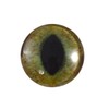 25mm Single Realistic Green and Brown Cat Glass Eye for