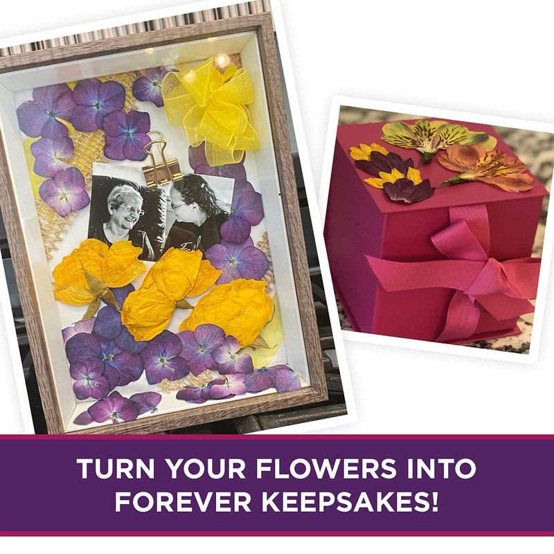 Flower Drying Kit Includes Flower Press Drying Boards, Quick Dry