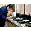 Miyahara-en Miyahara Tomo Sakaemon Tea Bag, 4.2 oz (120 g),