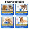 ALLURANEST Interactive Cat Toys for Indoor Cats, Automatic Motion Activated