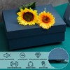 Honoson 16 Pcs Self Adhesive Caster Wheels Appliance Rollers Appliance