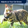 Houdini™ Escape Proof Cat Harness and Leash Set by OutdoorBengal