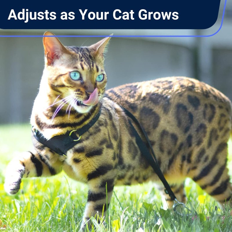 Houdini™ Escape Proof Cat Harness and Leash Set by OutdoorBengal