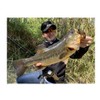 Imakatsu #S-234 Elite Claw High Float (Eco-Compatible), 3 inch, Clear