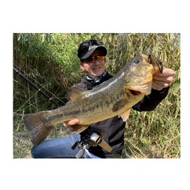 Imakatsu #S-234 Elite Claw High Float (Eco-Compatible), 3 inch, Clear Green Pumpkin Blue Pearl Berry