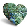 1 x Heart Coaster - Frosted Juniper Tree Berries Nature Winter Cork Backed MDF Glossy Tea Coffee Accessory #50952