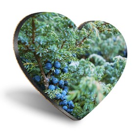 1 x Heart Coaster - Frosted Juniper Tree Berries Nature Winter Cork Backed MDF Glossy Tea Coffee Accessory #50952