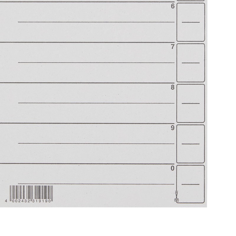 Leitz Register für A4, Deckblatt und 10 Trennblätter, Taben individuell