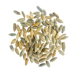CLEAR CREEK Certified Glyphosate Residue Free Rye Berries | 25 lb | Non-GMO Project Verified | North American Grown