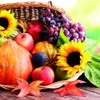20 Napkins Basket Full Harvest Sunflower Fruit Harvest Autumn Table Decoration 33 x 33 cm