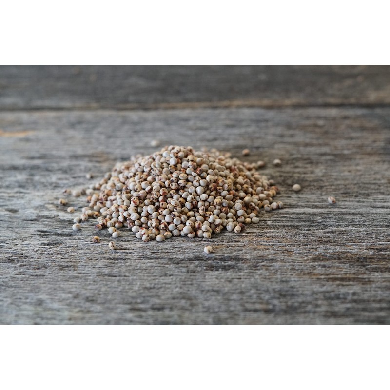 Hale Habitat & Seed Grain Sorghum Food Plot Seed, 5