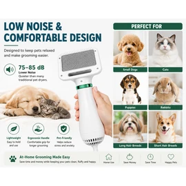 2-in-1 Dog Dryer with Slicker Brush for Small Dogs & Cats, 300W Pet Hair Dryer for Grooming, Adjustable Temperature, Low Noise 75-85dB, Overheat Protection, Fast Drying Dog Blow Dryer