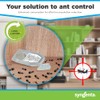 Advion Ant Gel Station - Effective Indoor & Outdoor Ant