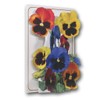 The Pictoria Press Pansies - a 3D Pop Up Greeting