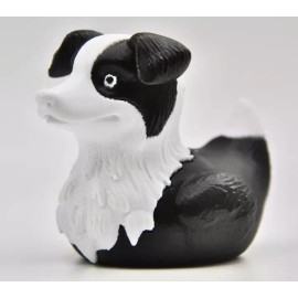 Border Collie Duck,  Ducking, Get Ducked, Duck Duck Jeep