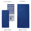 Champion 5065017600 Face Towels, Set of 2, Champion Free Blue,