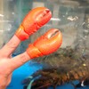 Archie McPhee Finger Lobster Claws Pack of 2