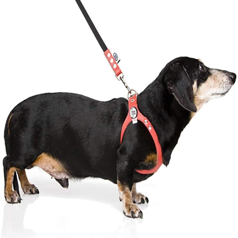 BUDDY BELT Buddy Belts Harness Pebble Grain Red - Premium