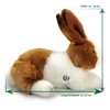 Stupsi Cuddly Toy Rabbit Brown / White