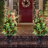 GUOOU Set of 2 Pathway Christmas Tree Urn Filler, Lighted