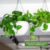 Dexceder 13.5 Inch Large Self Watering Hanging Planters Indoor Outdoor,