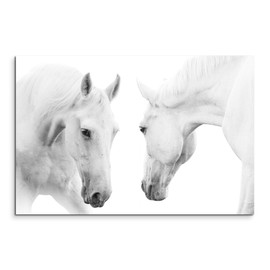 Sinus Art Wall Picture 120 x 80 cm Animal Photography - White Horses on White Background