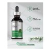 Gotas Ginkgo Biloba Salud Cerebral Bienestar 59ml Americano