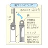 スケーター(Skater) デンタルケース付 立つ ジョイント 歯ブラシ 毛の硬さ普通 14.5cm となりのトトロ ジブリ TRKS1-A