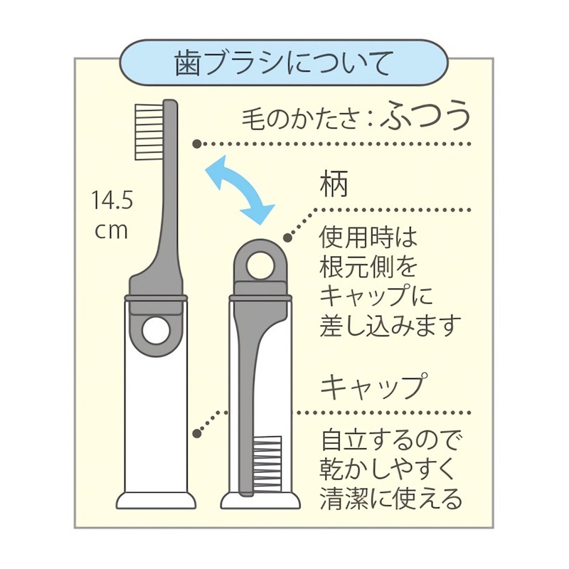 スケーター(Skater) デンタルケース付 立つ ジョイント 歯ブラシ 毛の硬さ普通 14.5cm となりのトトロ ジブリ TRKS1-A